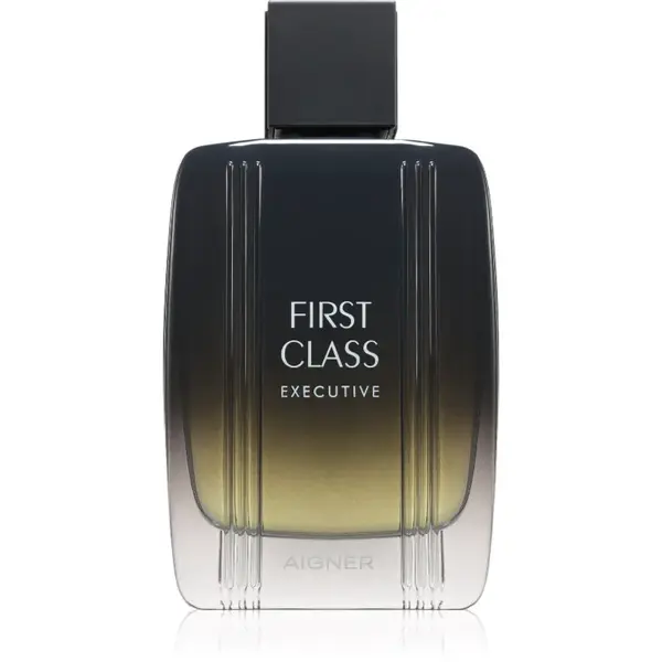 Etienne Aigner First Class Executive toaletná voda pre mužov 100 ml