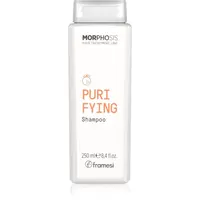 Framesi Morphosis Purifying čistiaci šampón proti lupinám 250 ml