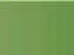 Pastel Caran d'Ache Neocolor II 225 Moss green