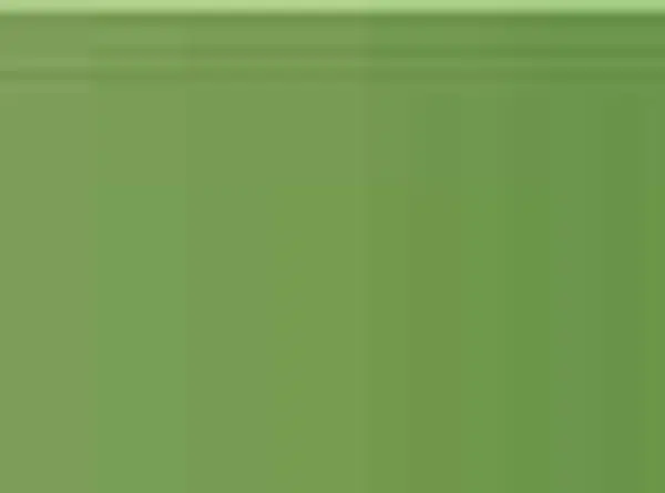 Pastel Caran d'Ache Neocolor II 225 Moss green