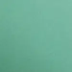 Barevný papír Maya A2 – 51 Dark green