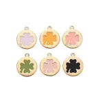 Brass Enamel Charms