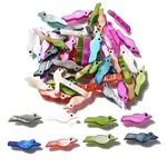 Natural Freshwater Shell Beads