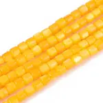 Dyed Natural Freshwater Shell Beads Strands