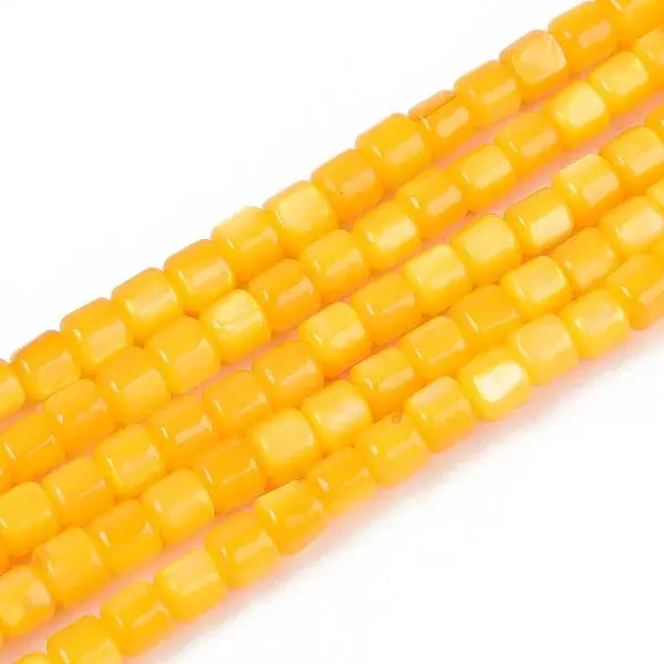 Dyed Natural Freshwater Shell Beads Strands