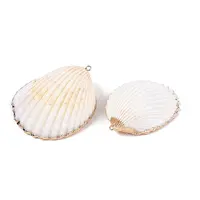 Natural Scallop Shell Big Pendants