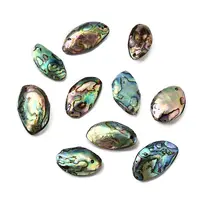 Natural Paua Shell Pendants