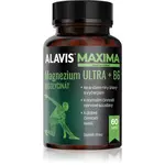 Alavis Maxima Magnezium ULTRA+B6 kapsle pro podporu zdraví nervové soustavy 60 cps