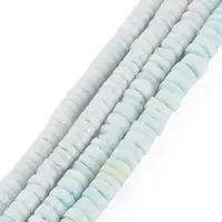 Sea Shell Beads Strands