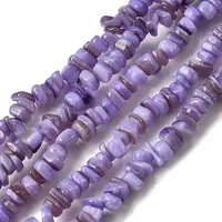 Natural Freshwater Shell Beads