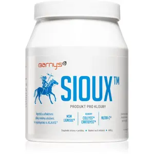 Barny's MSM Sioux prášek pro výživu kloubů a chrupavek 600 g