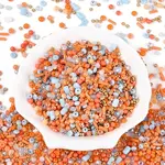 Electroplate Glass Seed Beads