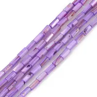 Natural Freshwater Shell Dyed Beads Strands