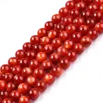 Natural Freshwater Shell Beads Strands