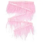 Ostrich Feather Tassel Ribbon