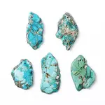 Natural Regalite/Imperial Jasper/Sea Sediment Jasper Pendants