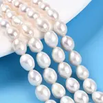 Natural Cultured Freshwater Pearl Beads Strands