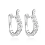 Beneto Módní stříbrné náušnice se zirkony AGUC1531