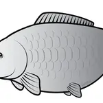 Delphin nálepka kapr silver