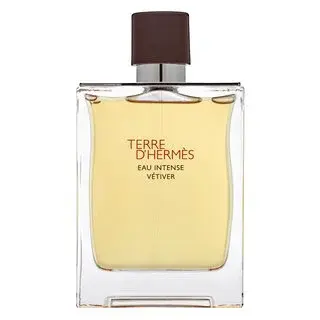 Hermes Terre D'Hermes Eau Intense Vetiver parfémovaná voda pro muže 200 ml
