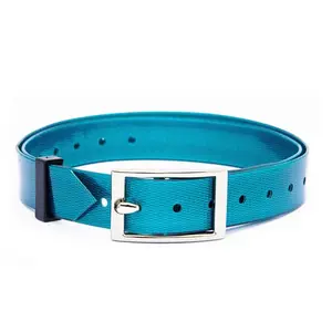 Plastový obojek modrý 20 mm x 70 cm (mini) | P35395