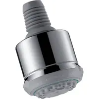 Hansgrohe Clubmaster hlavová sprcha chróm 28496000