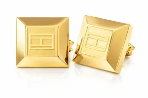 Tommy Hilfiger Pozlacené náušnice TH2700646