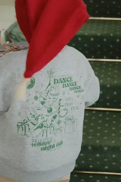 Detská mikina Konges Sløjd LOU SWEAT SHIRT OCS