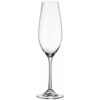 Skleničky šampaňské 260ml sada 6 KS 022 Bohemia Columba s