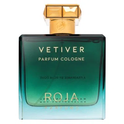 Roja Parfums Vetiver kolínská voda pro muže 100 ml