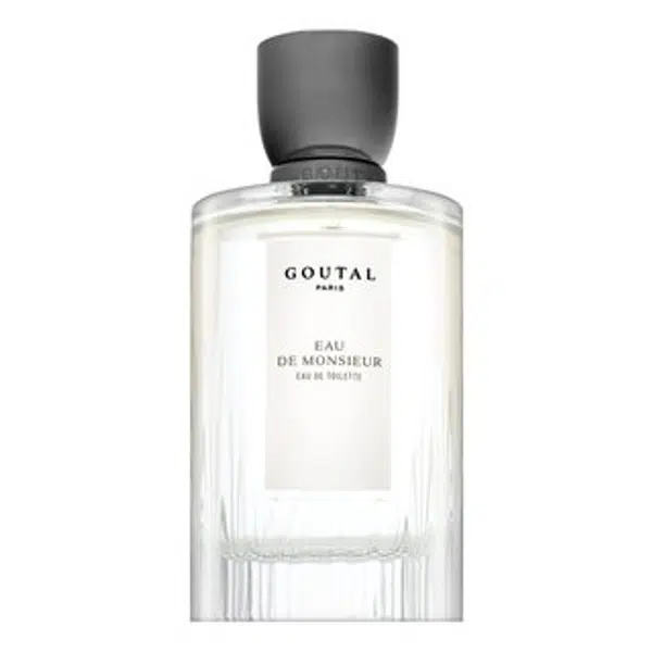 Annick Goutal Eau De Monsieur toaletní voda pro muže 100 ml