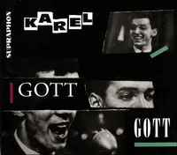 Karel Gott: Zpívá Karel Gott (Vinyl LP)