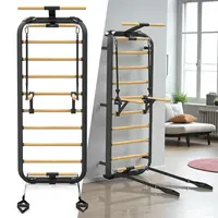 Žebřiny inSPORTline Wootkit 220x86 cm černá