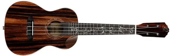 Ortega RUET-EB (použité)