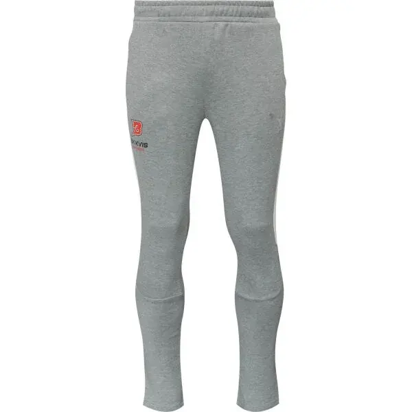 Puma TEAMEVOSTRIPE PANTS - BK KVIS PARDUBICE Pánské tepláky, šedá, velikost