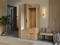 Předsíňová stěna Riganni Barva korpusu: Dub - Artisan