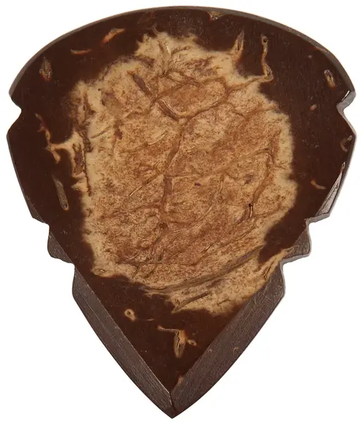 Timber Tones Arrow Tones Coconut Husk