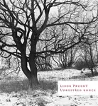 Uprostřed konce - Libor Prudký