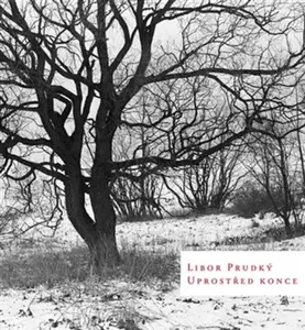 Uprostřed konce - Libor Prudký