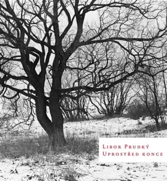Uprostřed konce - Libor Prudký