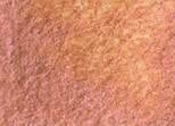 Akvarelová barva DS 15ml – 4047 Duochrome Autumn Mystery