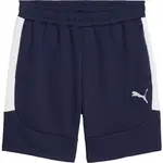 Puma TEAMEVOSTRIPE SHORTS Pánské šortky, tmavě modrá, velikost