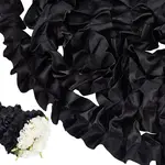 5M Polyester Pleated Lace Ribbon