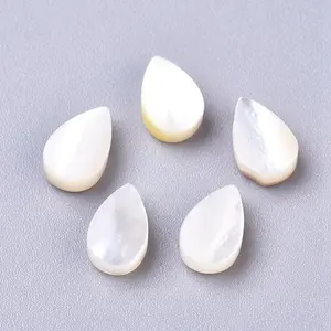 Natural Sea Shell Beads