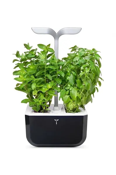 Autonomní domácí zahrada Veritable Exky Smart 20 × 18 cm