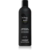 Alfaparf Milano Blends of Many Energizing energizující šampon pro jemné a zplihlé vlasy 250 ml