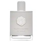 Vince Camuto Eterno toaletná voda pre mužov 100 ml