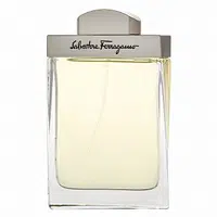 Salvatore Ferragamo Pour Homme toaletná voda pre mužov 100 ml