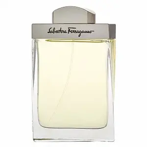 Salvatore Ferragamo Pour Homme toaletná voda pre mužov 100 ml
