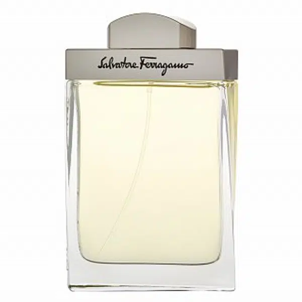 Salvatore Ferragamo Pour Homme toaletná voda pre mužov 100 ml